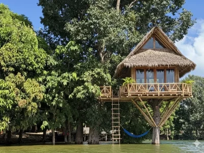 tree house
